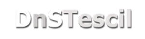 DnSTescil - www.bol.tc